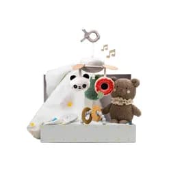 Taf Toys Sada hraček Newborn Luxe