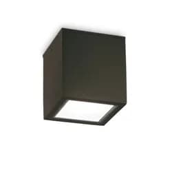 IDEAL LUX - Stropní svítidlo TECHO PL1 SQUARE- venkovní